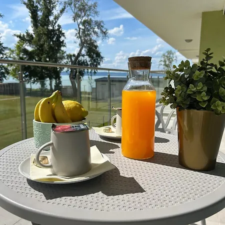 Mango - Dingi 104 * شيوفوك
